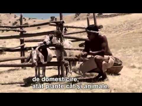 Istoria lumii în două ore - documentar